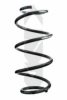 SPIDAN 87053 Coil Spring